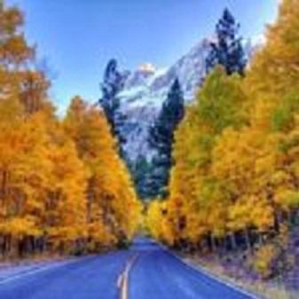 Birch Creek #1 - 1Br/1Ba - Down Canyon June Lake Bagian luar foto