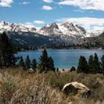 Birch Creek #1 - 1Br/1Ba - Down Canyon June Lake Bagian luar foto