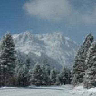Birch Creek #1 - 1Br/1Ba - Down Canyon June Lake Bagian luar foto